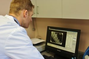 Dr. Cory Todd reviews digital dental X-rays from a dogs dental cleaning at Streetsville Animal Hospital