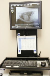 Computer displaying pets digital x-rays or radiographs on screen as diagnostic services at Streetsville Animal Hospital