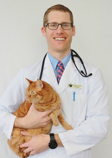 Veterinarian Dr. Cory Todd at Streetsville Animal hospital holding orange cat
