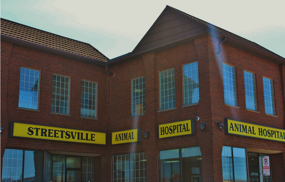 Exterior of building with sign of Streetsville Animal Hospital Veterinary Services in Mississauga, ON