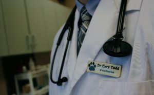 Dr. Cory Todd, Veterinarian in Mississauga at Streetsville Animal Hospital