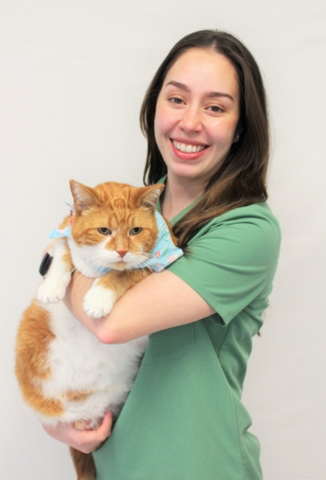 Danielle cat- original 359-528